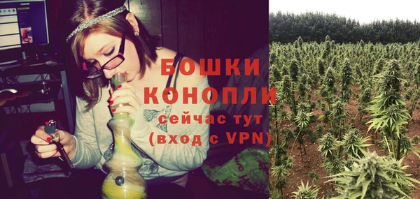 гидропоника Вяземский