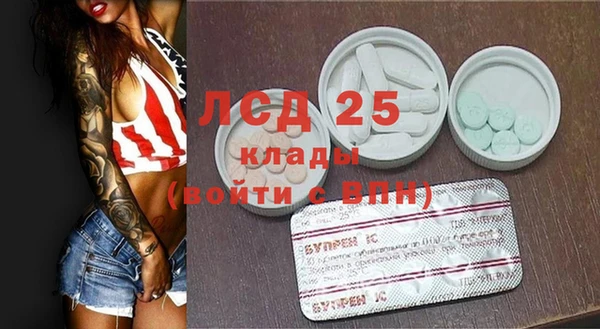 ПСИЛОЦИБИНОВЫЕ ГРИБЫ Вязьма