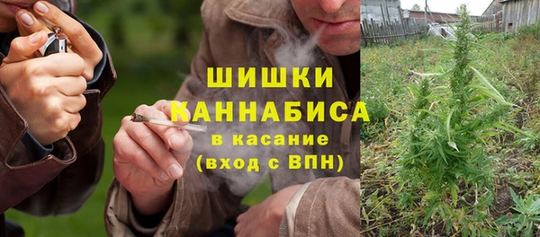 гидропоника Вяземский