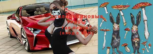 ПСИЛОЦИБИНОВЫЕ ГРИБЫ Вязьма