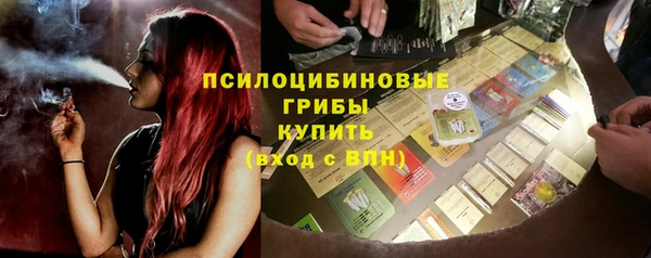 ПСИЛОЦИБИНОВЫЕ ГРИБЫ Вязьма
