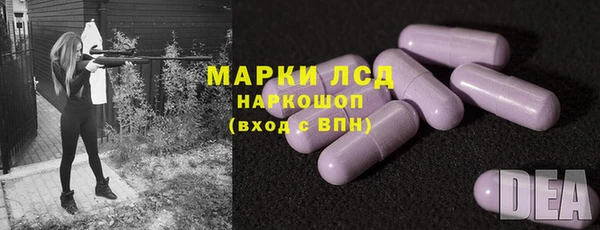 ПСИЛОЦИБИНОВЫЕ ГРИБЫ Вязьма