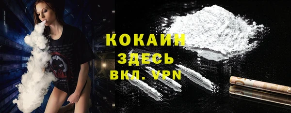 ПСИЛОЦИБИНОВЫЕ ГРИБЫ Вязьма