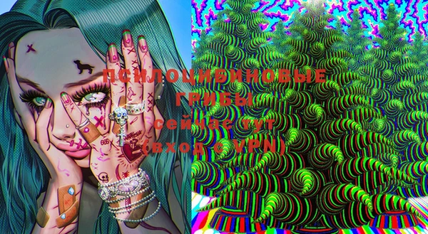ПСИЛОЦИБИНОВЫЕ ГРИБЫ Вязьма