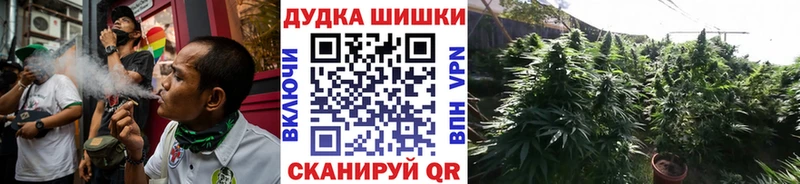 Канабис планчик  Купить где  Новотроицк 